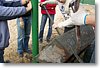 IMG_0161.JPG