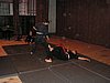 PICT0093.JPG